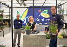 Het team van Rijnbeek viert het 80 jarige bestaan van hun bedrijf. En als kers op de taart hebben ze ook nog 2 prijzen gewonnen voor Primula Alison Holland (zilver) en Salvia Amethys Lips (brons)